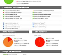website audit report 2