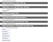 website audit report 3