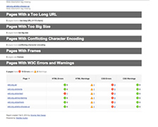 website audit report 4